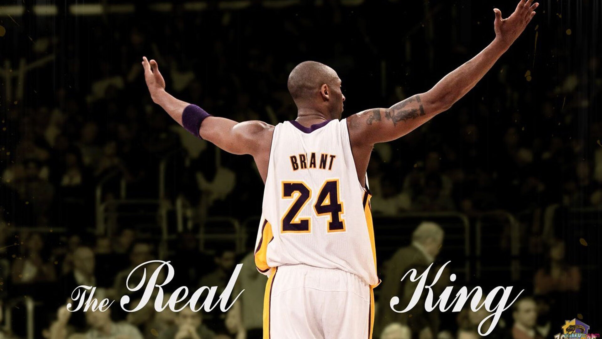 卡斯帕·科尔博泳池内外均实现突破，卡斯帕尔职业