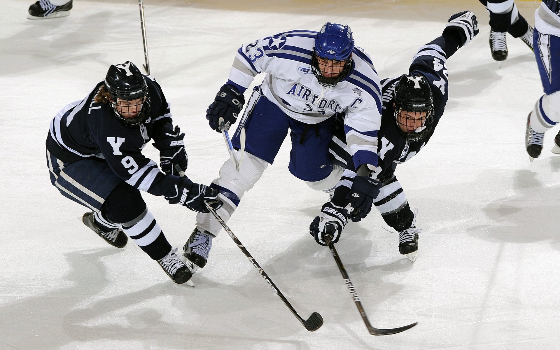 女子仰泳新秀异军突起，女子仰泳运动员