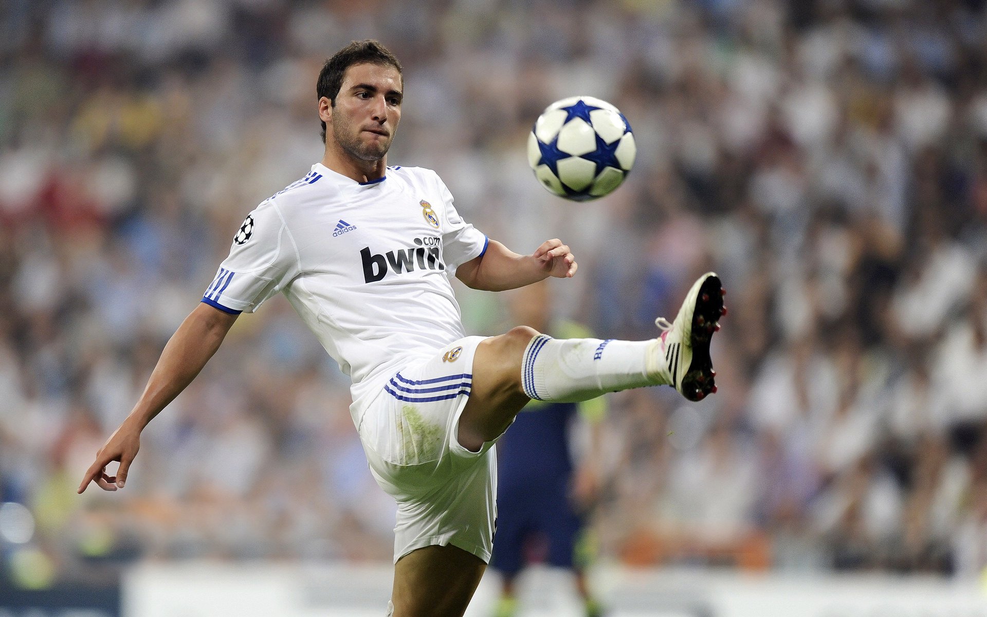 戴维·帕特森的球场领导力和战术灵活性，为袋鼠队赢得关键比赛